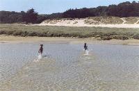 Ironman und Kalypso beim Wasserrennen.